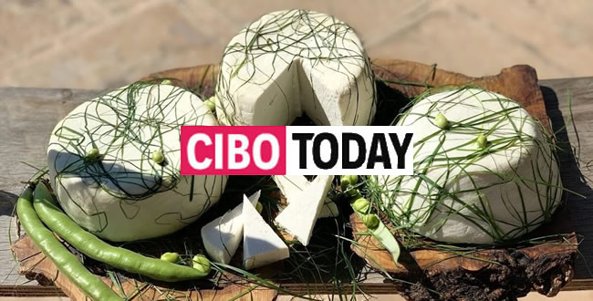 masseria cinque santi