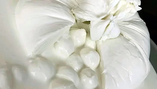 bisaccia di mozzarella cinque santi
