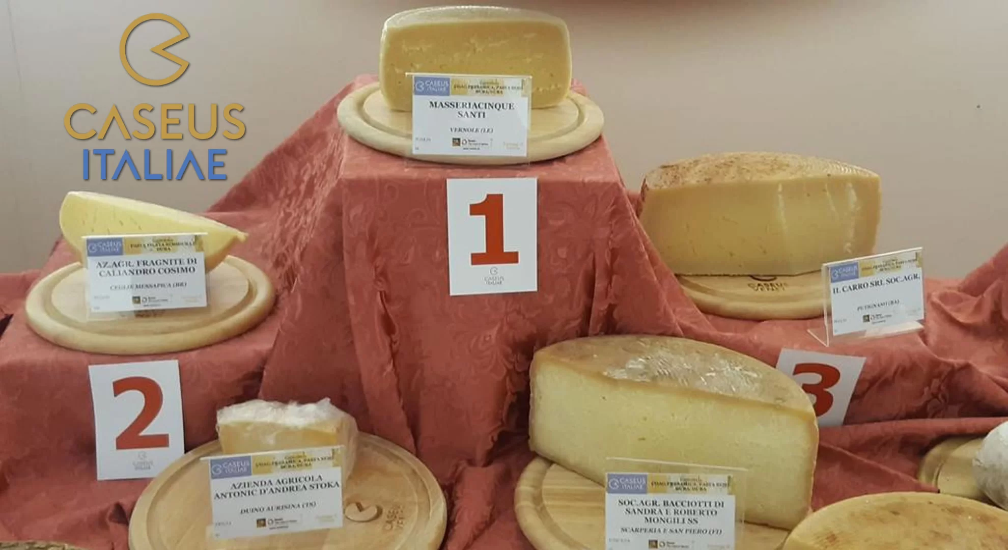 caseus italia