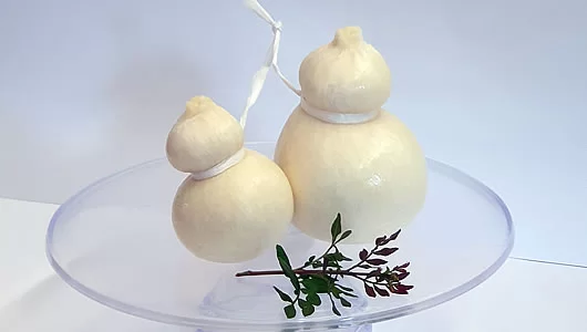 scamorza all'acqua cinque santi