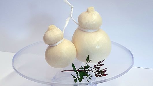 scamorza all'acqua cinque santi