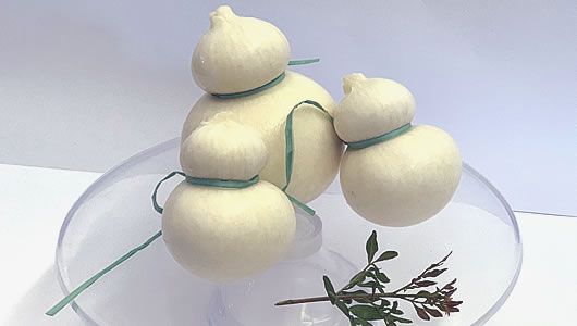 scamorza bianca cinque santi